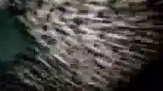 احتفال جنسي في حوض الاستحمام مع عذراوات بيضاء كالحليب