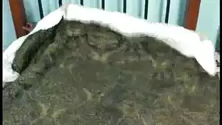 لوسي تحصل على تدليك شهواني ثم جنس عنيف