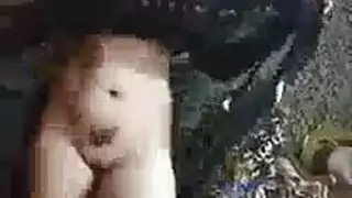 من الرقص التقليدي إلى الجنس عارياً على الأرض