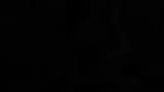 صديق أرنب مصري