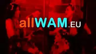 فوضوي الأرجنتيني أدغال